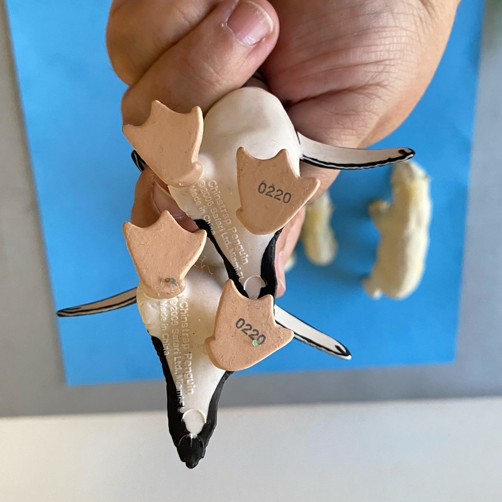 NORTH POLE ANIMALS / POLAR BEARS, ARTIC FOX, PENGUINS - Picture 13 of 13